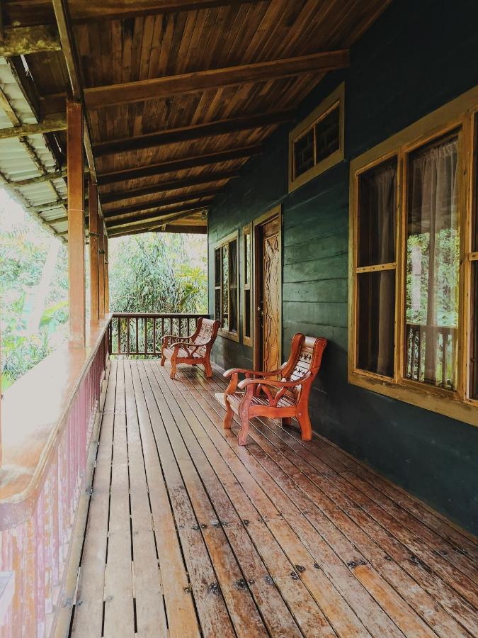 Kinkajoungalows - Amaya Family, Drake Bay, Osa Peninsula San Pedrillo Ngoại thất bức ảnh